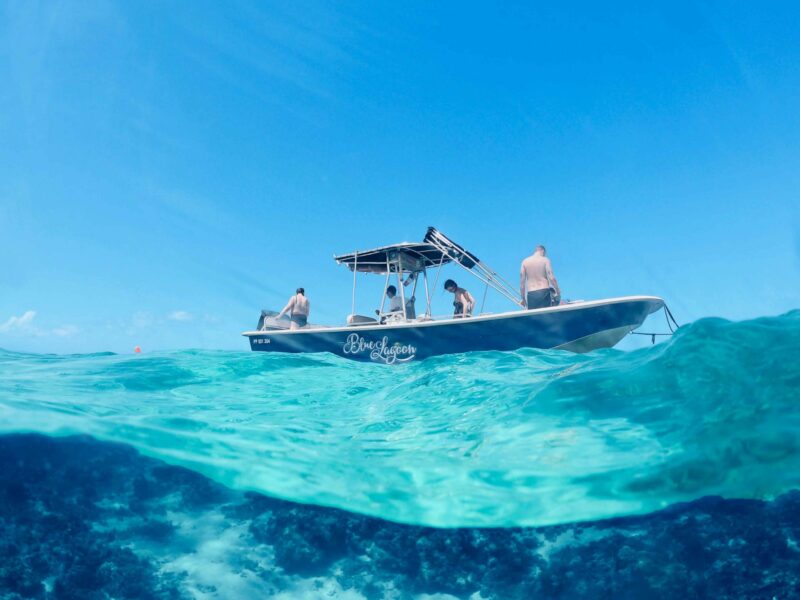 Découverte du lagon et de la mangrove en bateau guidée par des passionnés