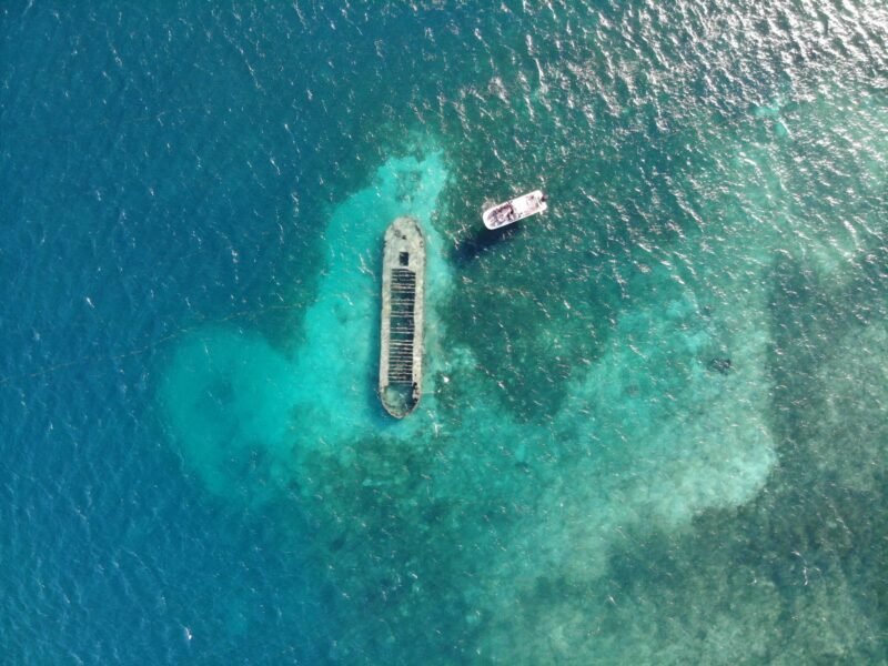 Découverte du lagon et de la mangrove en bateau guidée par des passionnés