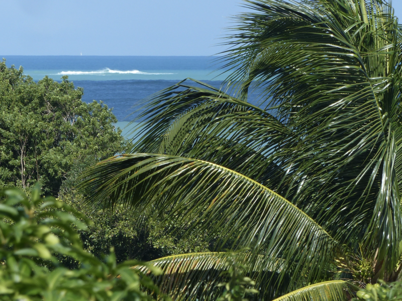 L'Effet Mer Guadeloupe